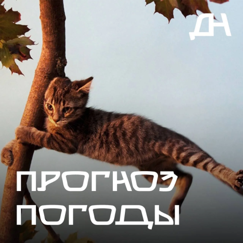 Прогноз погоды!